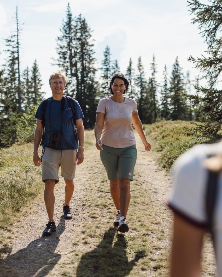 Sommerferien in der Bergheimat